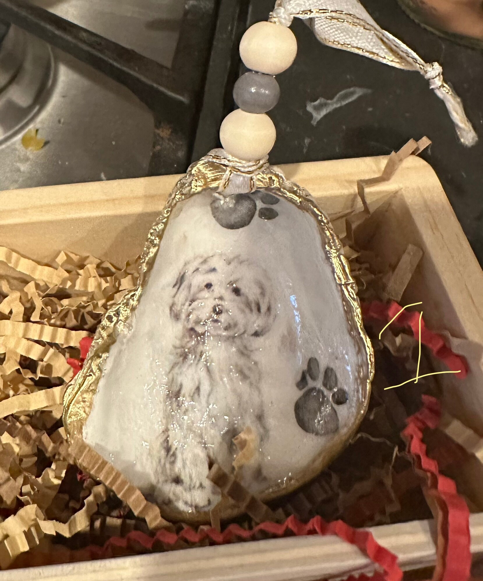 Craigslist Seattles Dog Lovers Dream Find Your Perfect Pup On The Marketplace - 7wpeczl