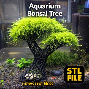 May include: An aquarium bonsai tree with a black, open-work trunk and vibrant green foliage. The text "Aquarium Bonsai Tree" is at the top, and "Grows Live Moss" is at the bottom. The image also includes an "STL FILE" logo.