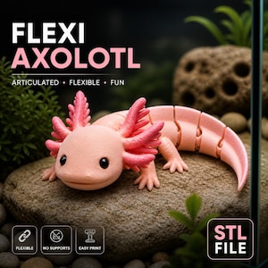 May include: A pink articulated axolotl figure with bright pink gills and a segmented body, resting on a stone. The text "FLEXI AXOLOTL" is displayed above, with "ARTICULATED • FLEXIBLE • FUN" below. The figure is labeled as an STL file.