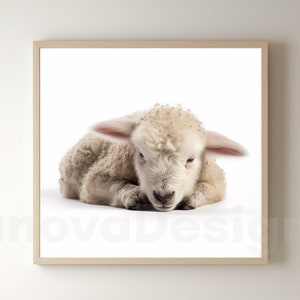 Baby Animal Prints, Printable Nursery Wall Art, Baby Animal Poster, Digital Download, Animal Wall Art, Nursery Gift, Sheep