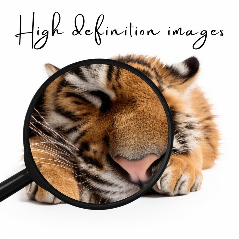 Baby Animal Prints, Printable Nursery Wall Art, Baby Animal Poster