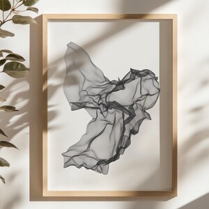 May include: A black and white abstract art print of a swirling, flowing shape, framed in a light wood frame.
