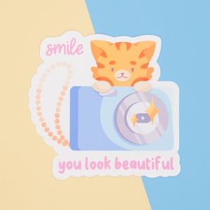 Smile You Look Beautiful Sticker | Kawaii Cat Sticker | Vinyl Sticker | Mirror Sticker | Self Love Reminder | Motivational Sticker