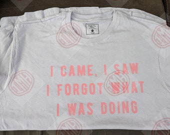 I Came, I Saw I Forgot What I Was Doing
