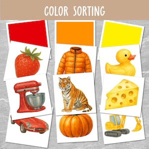 May include: Color sorting activity with images of a red strawberry, a red kitchen mixer, a red car, an orange pumpkin, an orange jacket, an orange tiger, a yellow rubber duck, a yellow cheese wedge, and a yellow construction vehicle.