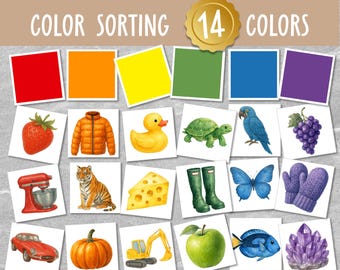 Montessori Color Sorting Matching Game, 14-Color Recognition Printable, Toddler Learning Activity, Preschool Educational Download
