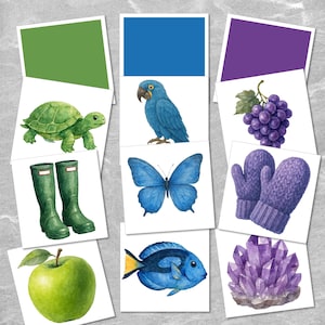 May include: A set of nine cards featuring various objects in different colors. The colors are green, blue, and purple. The objects include a turtle, a parrot, a bunch of grapes, mittens, a butterfly, a fish, and a crystal.