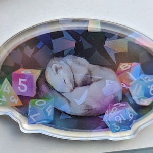 May include: A white ferret curled up asleep surrounded by colorful dice with numbers 2, 3, 4, 5, 6, 7, 8, 9, 11, and 12.