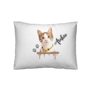 Cat Pillow, Cat Lover Pillow, Cat Lover Gift, Gift for Cat, Custom Cat Pillow, Personalized Gift