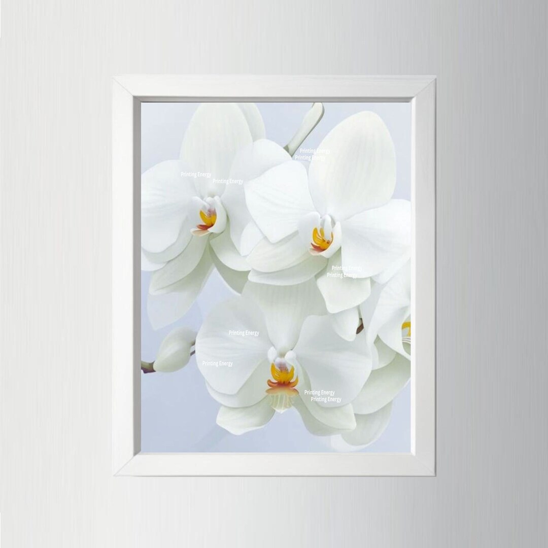 White Orchid Wall Art, Printable Artwork, Flowers, Love, Beauty, Purity Etsy