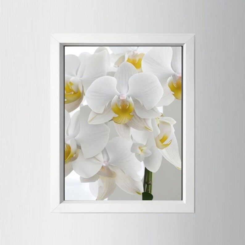 White Orchid Wall Art, Flower Printable Artwork Etsy