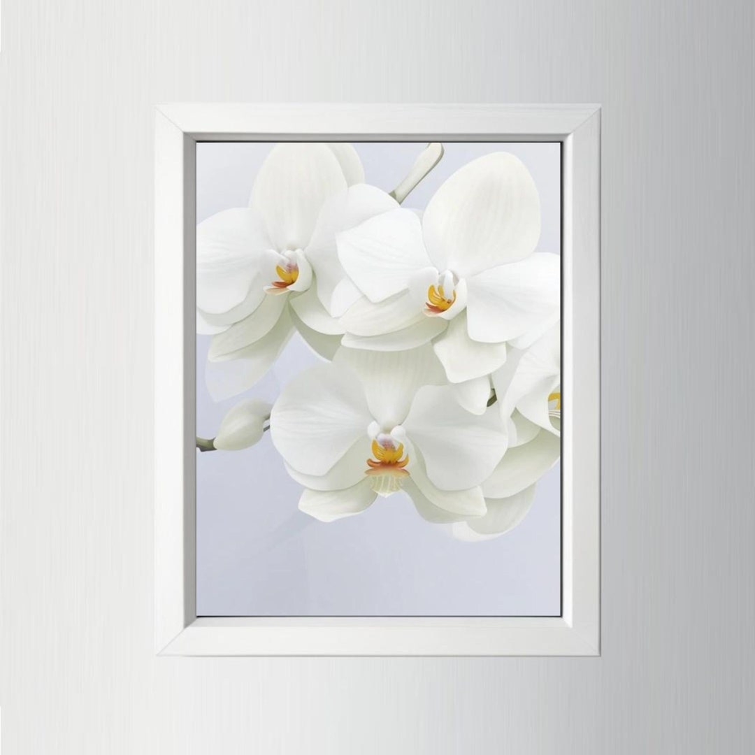 White Orchid Wall Art Printable Artwork Flowers Love Etsy
