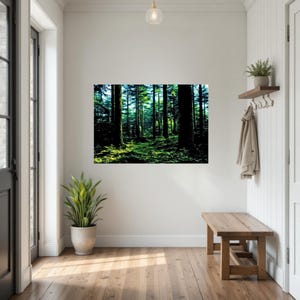 May include: A rectangular wall art print featuring a dense forest scene with tall dark tree trunks and vibrant green mossy ground. The artwork is displayed on a plain white wall in a hallway, positioned above a wooden bench and a potted plant.