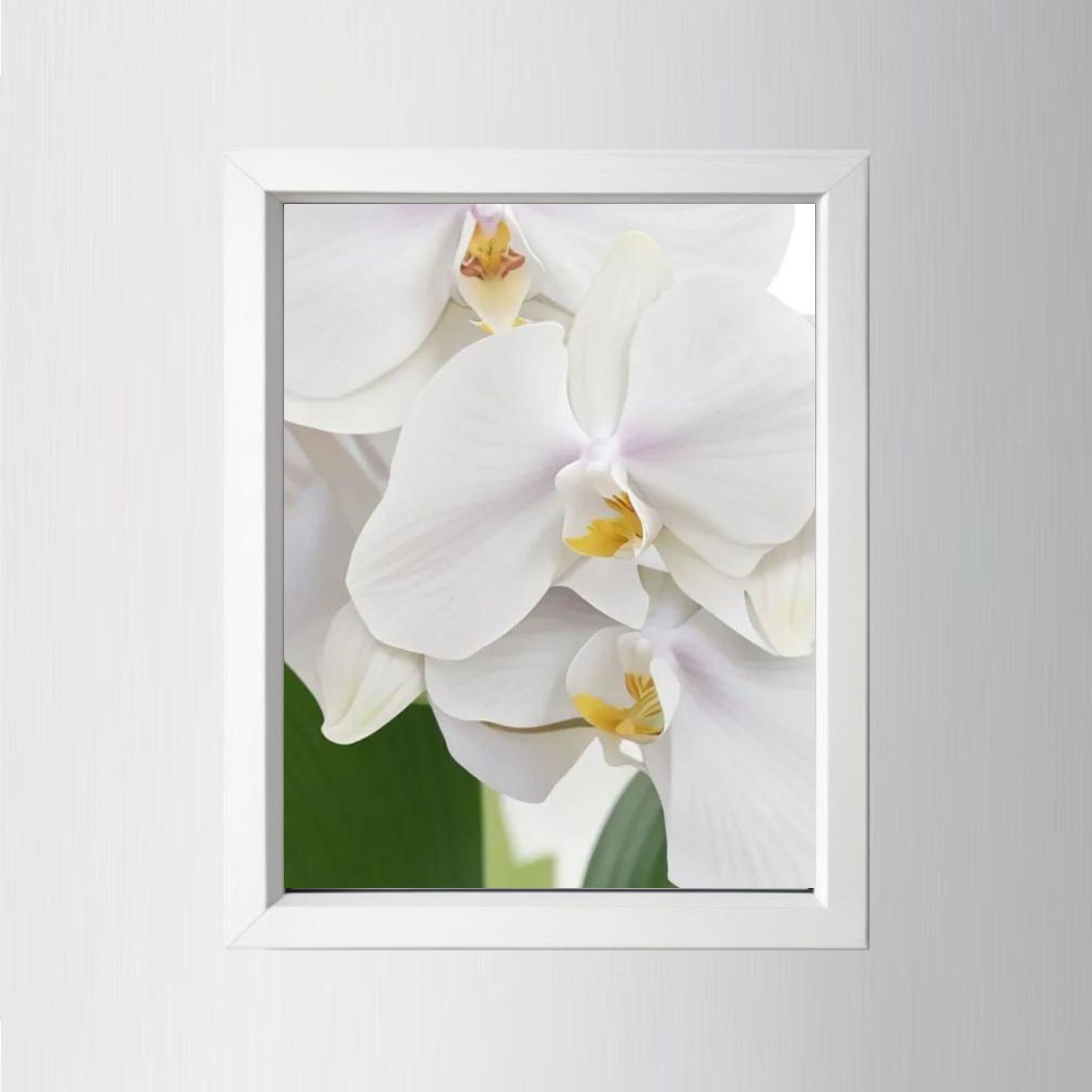 White Orchid Wall Art, Printable Artwork, Flowers, Love, Beauty, Purity Etsy