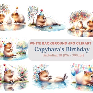 Capybara&#39;s Birthday Clipart, Cute Animals White background JPG, Capybara Clipart White Background JPG, Commercial Use Clipart.