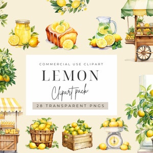 Watercolor Lemon Clipart, Citrus Clipart, Fruit Clipart, Transparent PNG, Commercial Use Clipart.