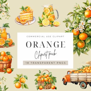 Watercolor Orange Clipart, Citrus Clipart, Fruit Clipart, Transparent PNG, Commercial Use Clipart.