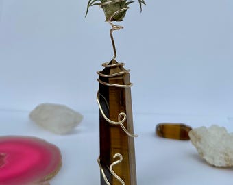 Tigers eye air plant | tower | crystal tower