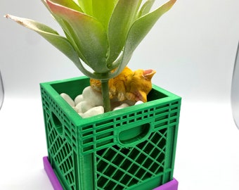 May include: A green plastic crate planter with a purple base, filled with white rocks and a small orange succulent plant.