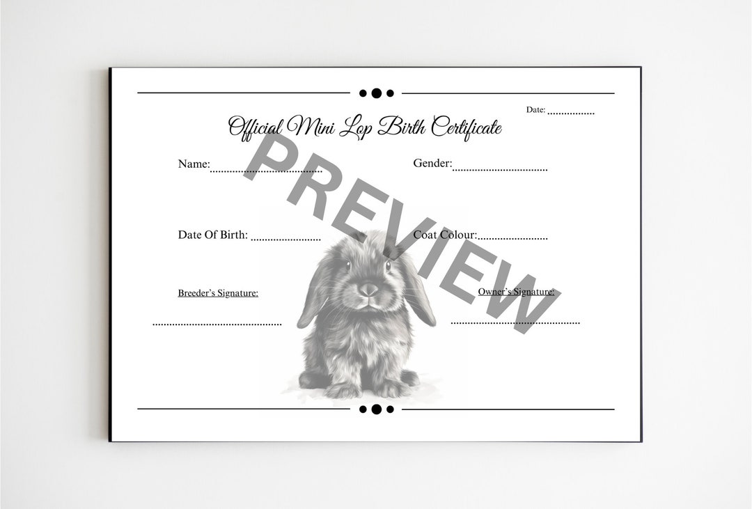Digital Mini Lop Rabbit Birth Certificates for Breeders Etsy Canada Digital Mini Lop Rabbit Birth Certificates for Breeders Etsy Canada