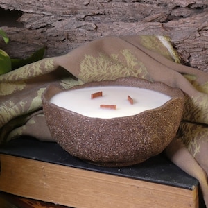 Citrus Berry Candle, Citrus Candle, Handmade Candle, Soy Coconut Candle, Fresh Scent Candle, Soy Candle, Wood Wick Candle