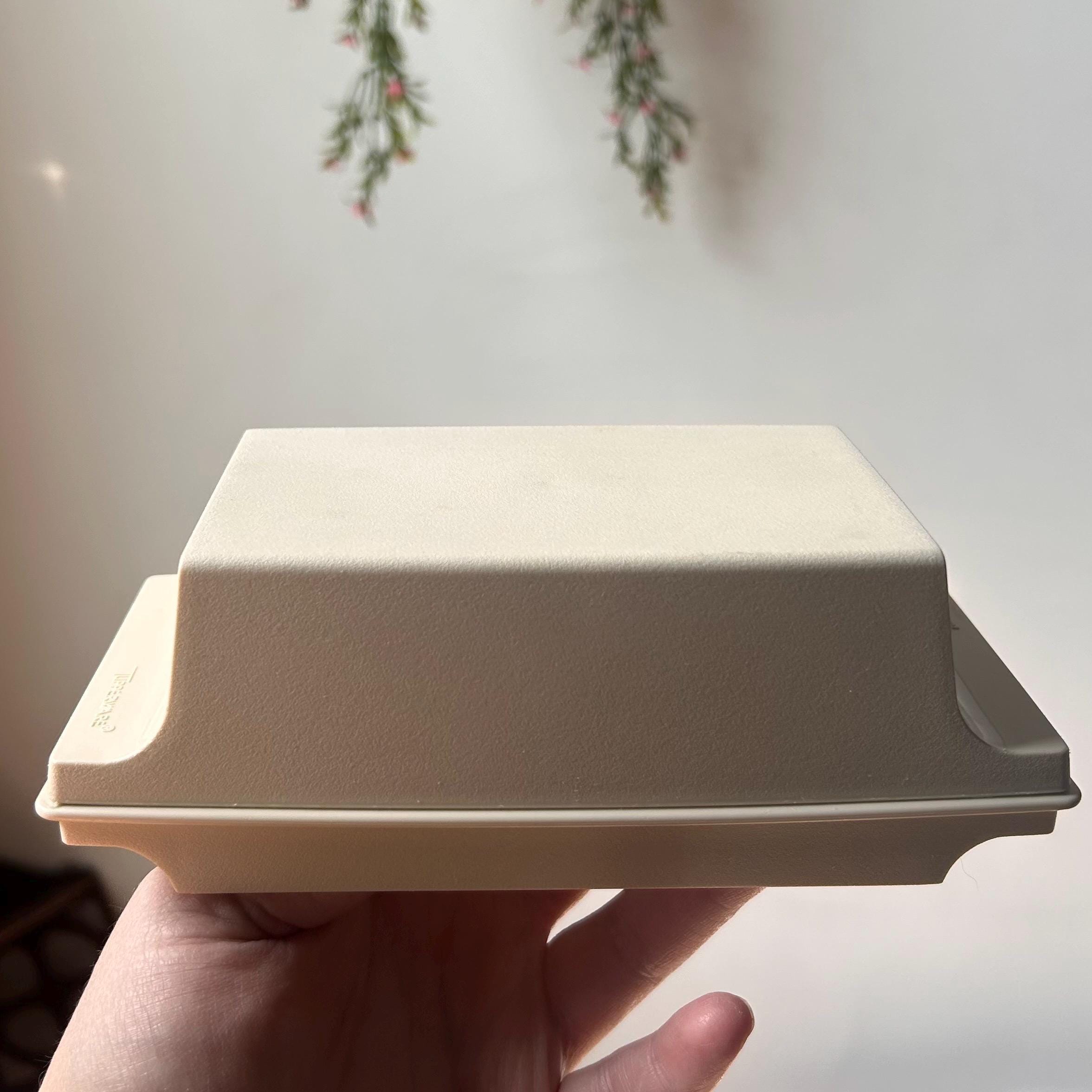 TUPPERWARE - Beurrier - Noir - Blanc - Propre