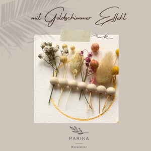 Twizler Gute Besserung Karte – Lustiger Igel Mit „Get Well Soon“, Blanko Innen, 15,5x15,5 Cm