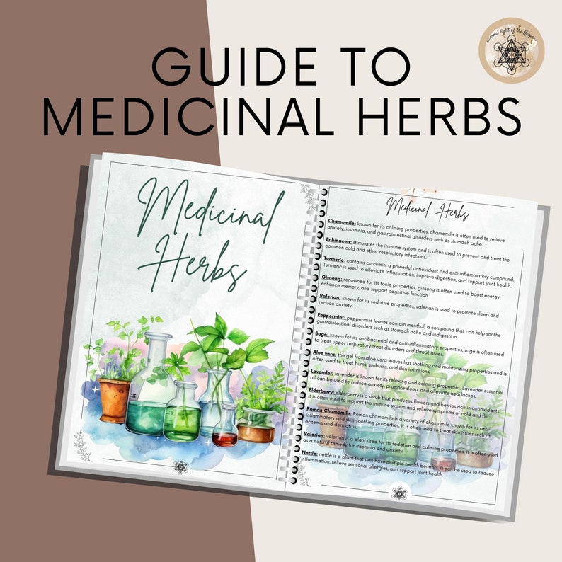 Printable Herbal Medicine Guide: A4 PDF on Medicinal Herbs, Herbal ...