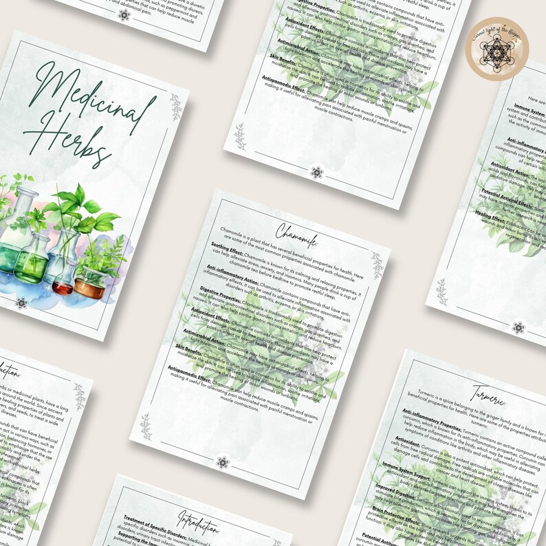 Printable Herbal Medicine Guide: A4 PDF on Medicinal Herbs, Herbal ...