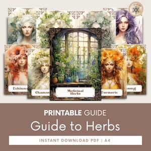 Printable Herbal Medicine Guide: A4 PDF on Medicinal Herbs, Herbal Remedies, Herbs Guide, Herbs Medicine