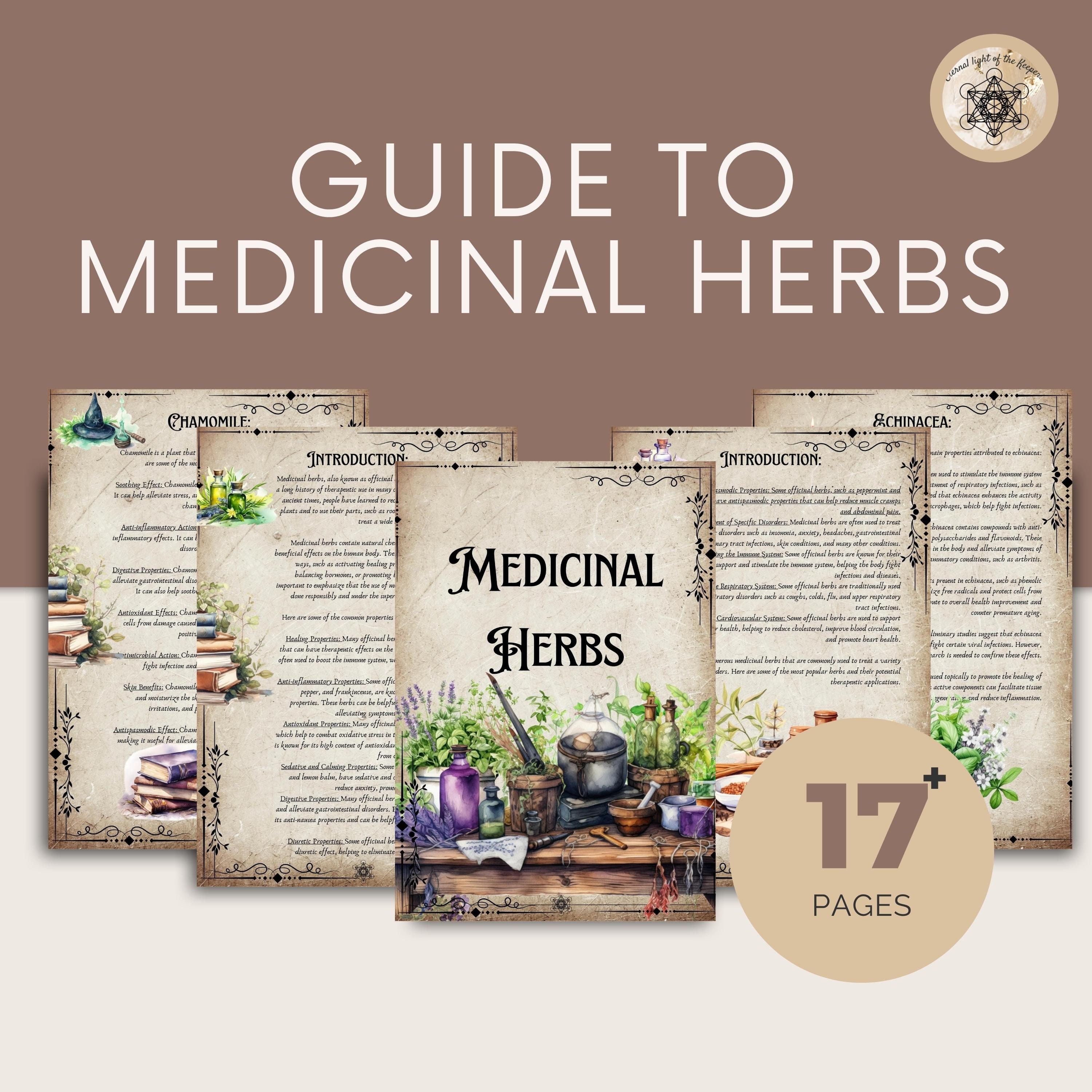 Printable Herbal Medicine Guide A4 PDF on Medicinal Herbs, Herbal