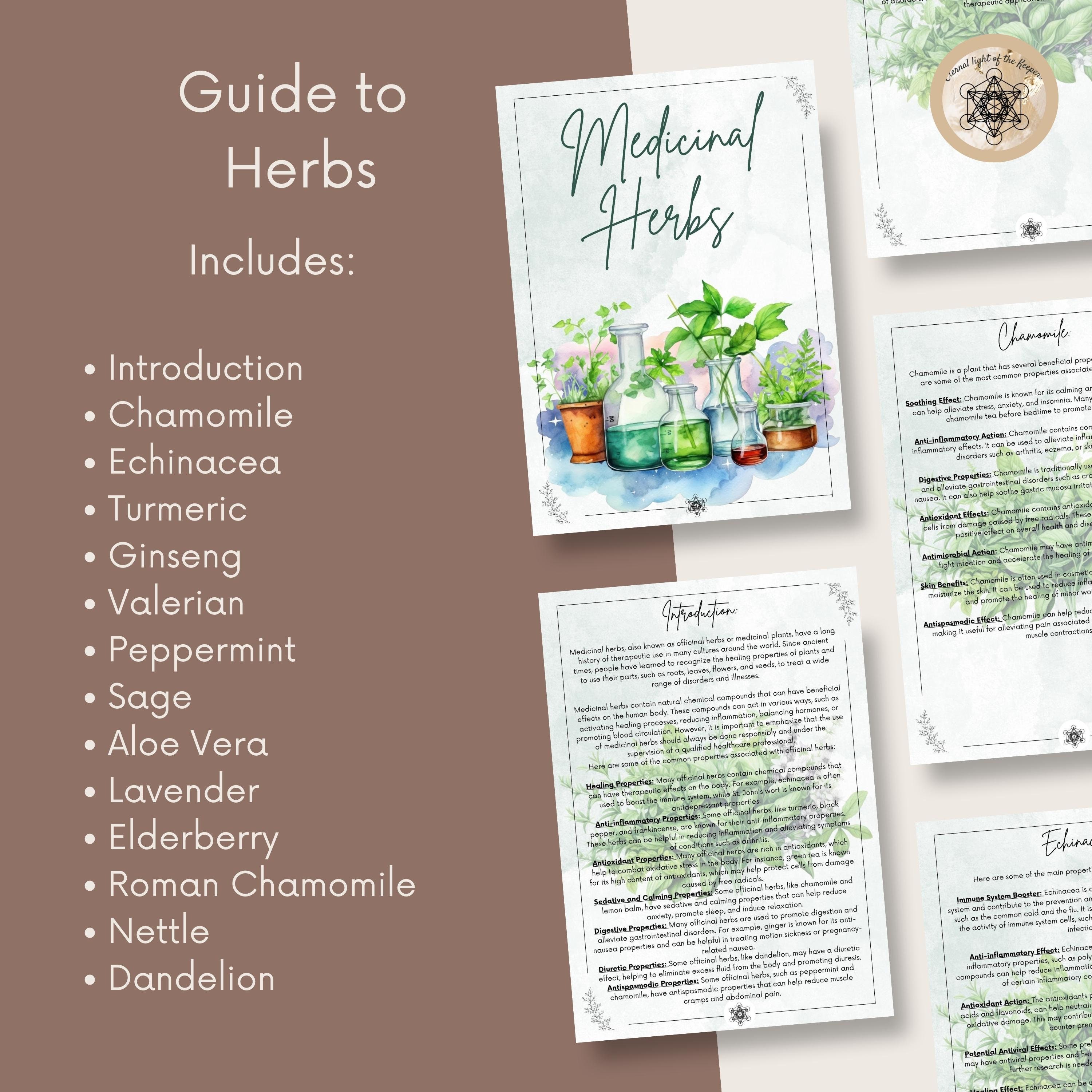 Printable Herbal Medicine Guide: A4 PDF on Medicinal Herbs, Herbal ...