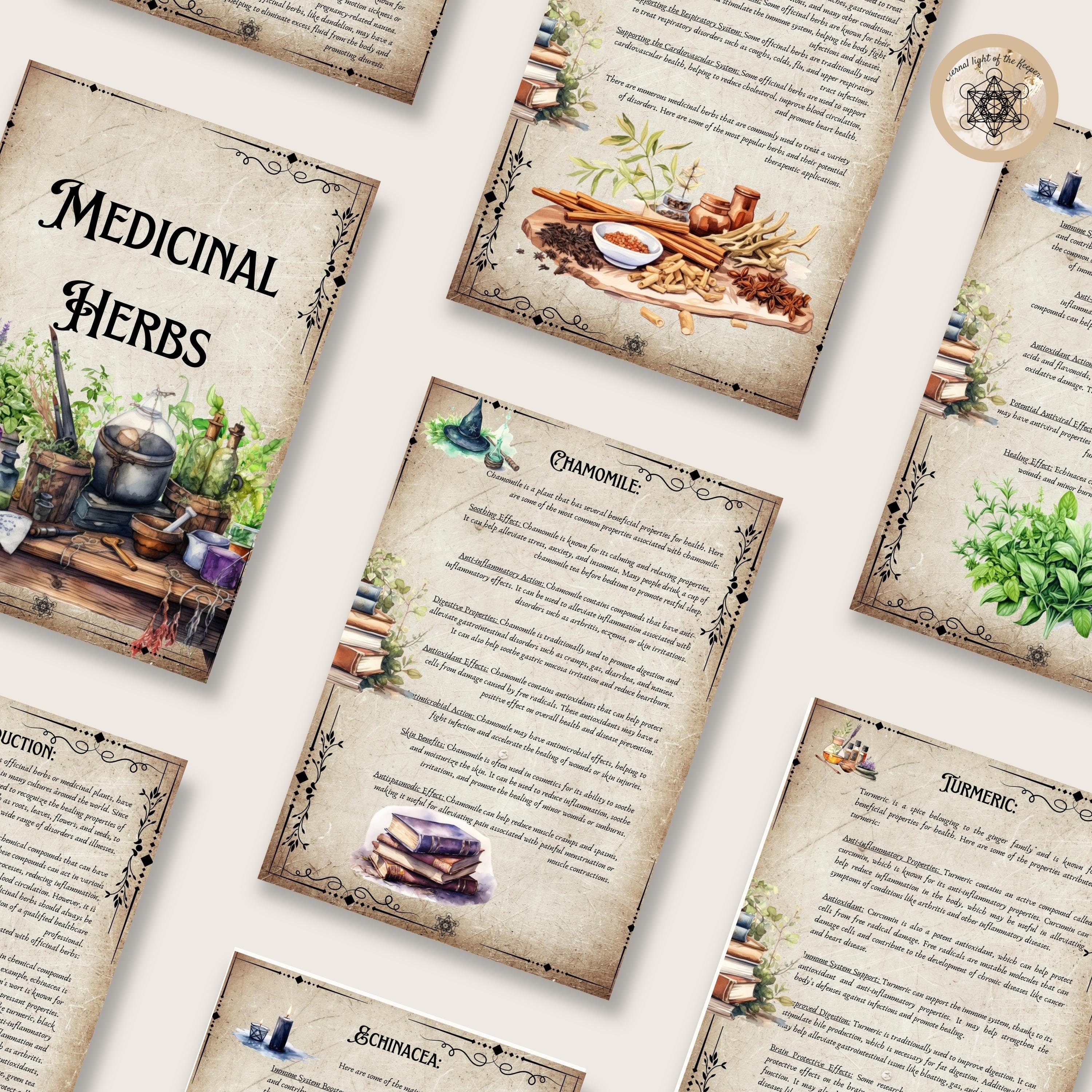Printable Herbal Medicine Guide A4 PDF on Medicinal Herbs, Herbal