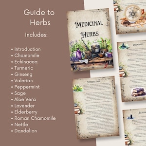 Printable Herbal Medicine Guide: A4 PDF on Medicinal Herbs, Herbal ...
