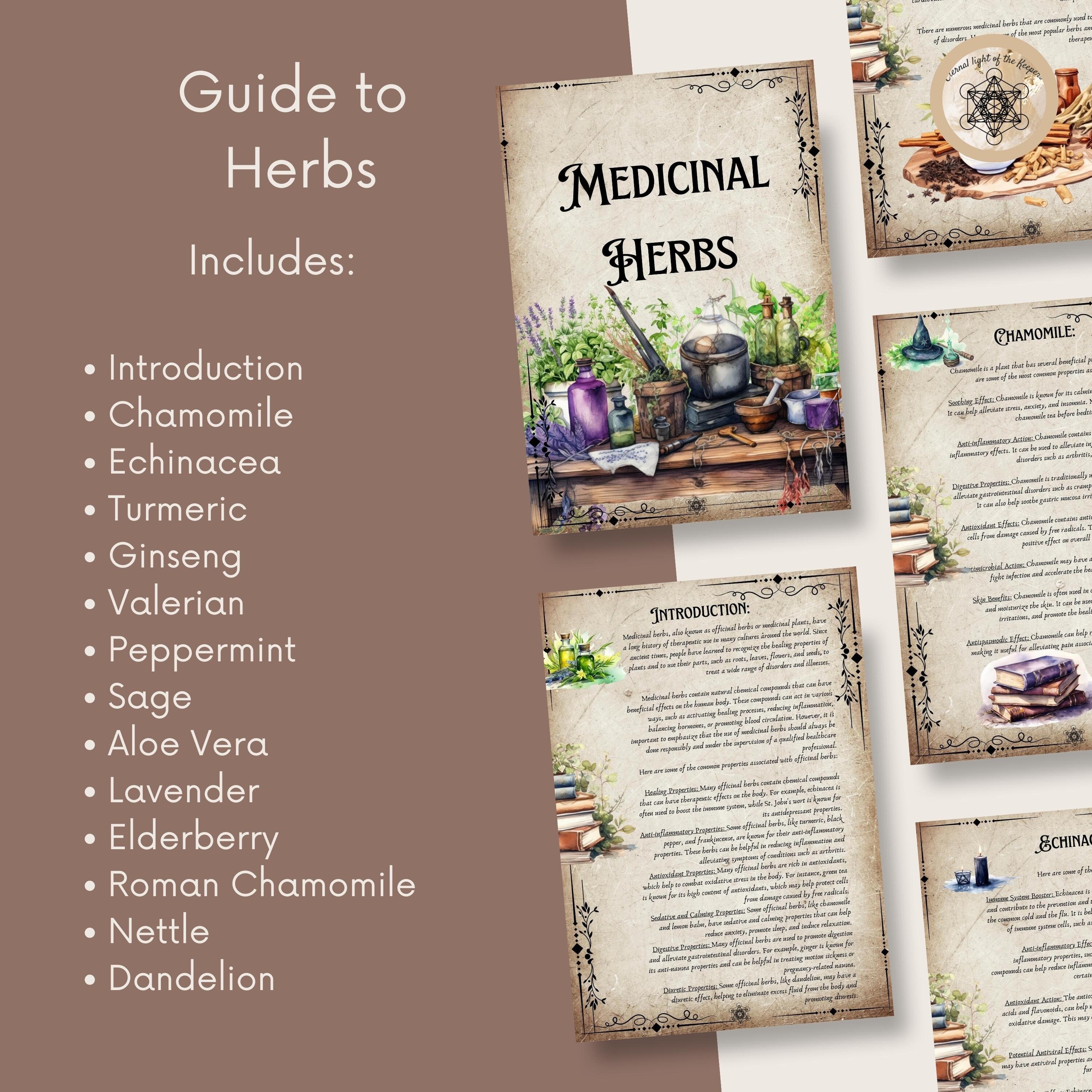 Printable Herbal Medicine Guide A4 PDF on Medicinal Herbs, Herbal