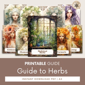 Printable Herbal Medicine Guide: A4 PDF on Medicinal Herbs, Herbal Remedies, Herbs Guide, Herbs Medicine