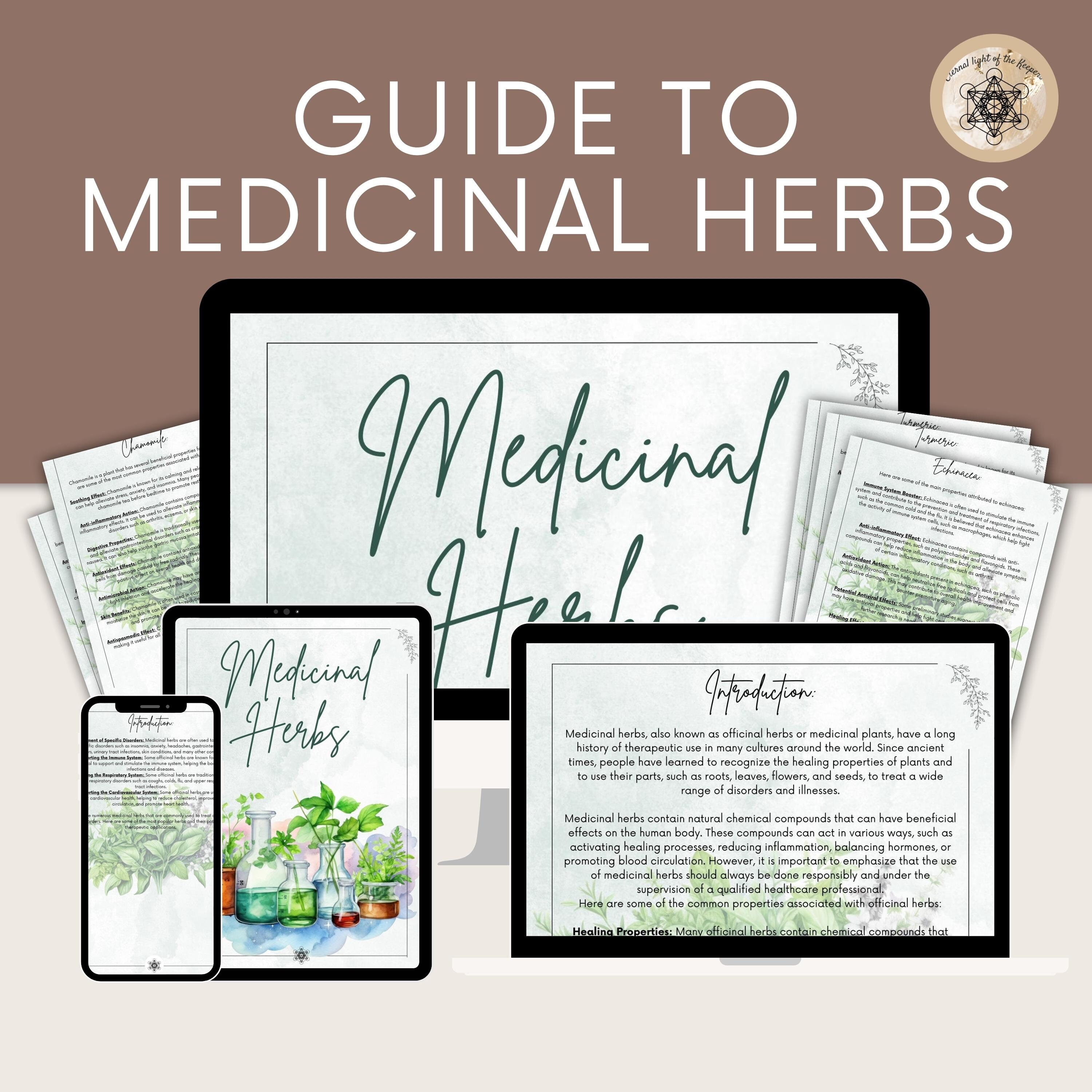 Printable Herbal Medicine Guide: A4 PDF on Medicinal Herbs, Herbal ...