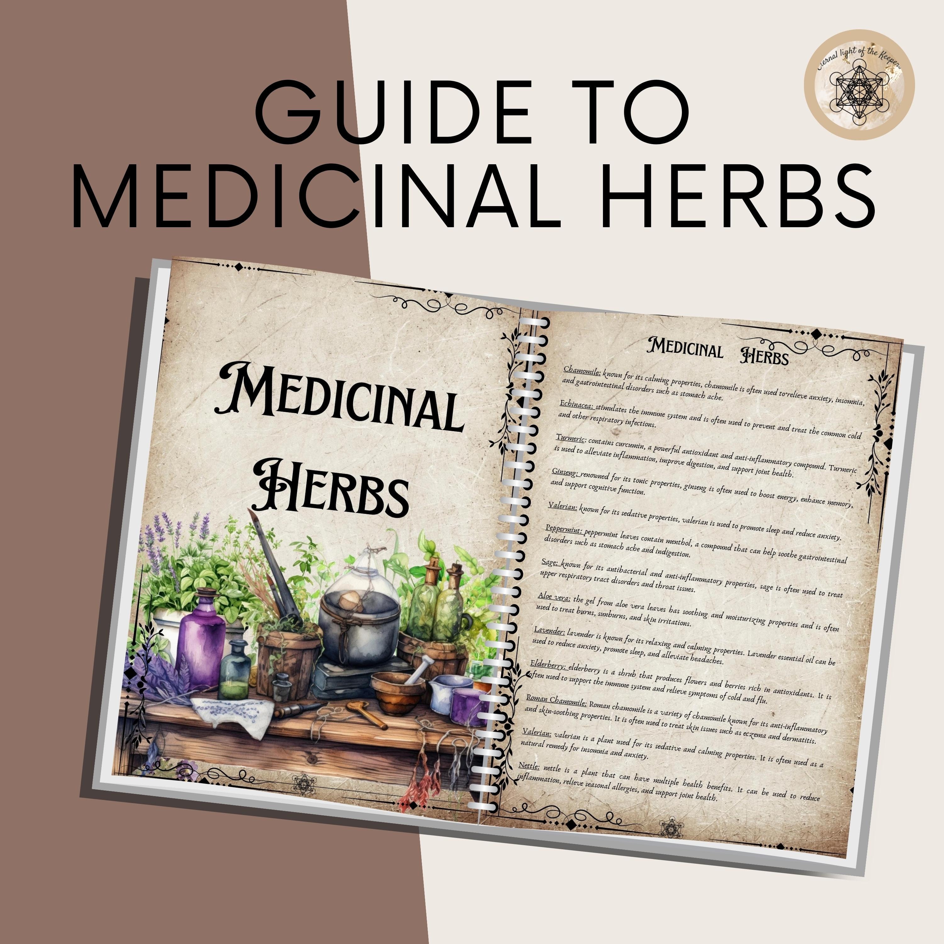 Printable Herbal Medicine Guide A4 PDF on Medicinal Herbs, Herbal