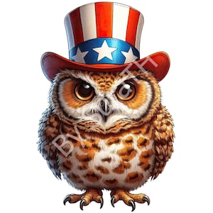 Gufo bandiera americana PNG, Gufo 4 luglio, Gufo carino, Amante dei gufi, Clipart di gufi, Download digitale, Sublimazione, Stampabile, Sfondo trasparente