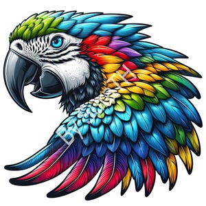 Colorful Macaw Parrot PNG Clipart: Printable Bird Art (Digital Download)