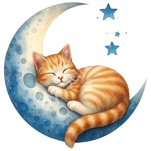 Cat Sleeping PNG, Cute Cat Clipart, Cat Sleeping on the Moon, Cat Crescent Moon, Cat Lover, Digital Download, Sublimation, Printable