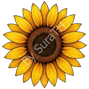 Sunflower PNG, Sunflower Clipart, Floral, Flowers, Digital Download, Sublimation, Printable, Instant Download