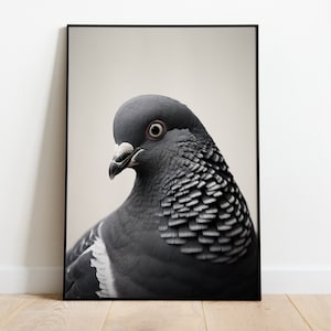 Pigeons, Pigeon Gift, Bird Poster, Bird Lover Gift, Gift for Art, Pigeon Art, Pigeon Painting
