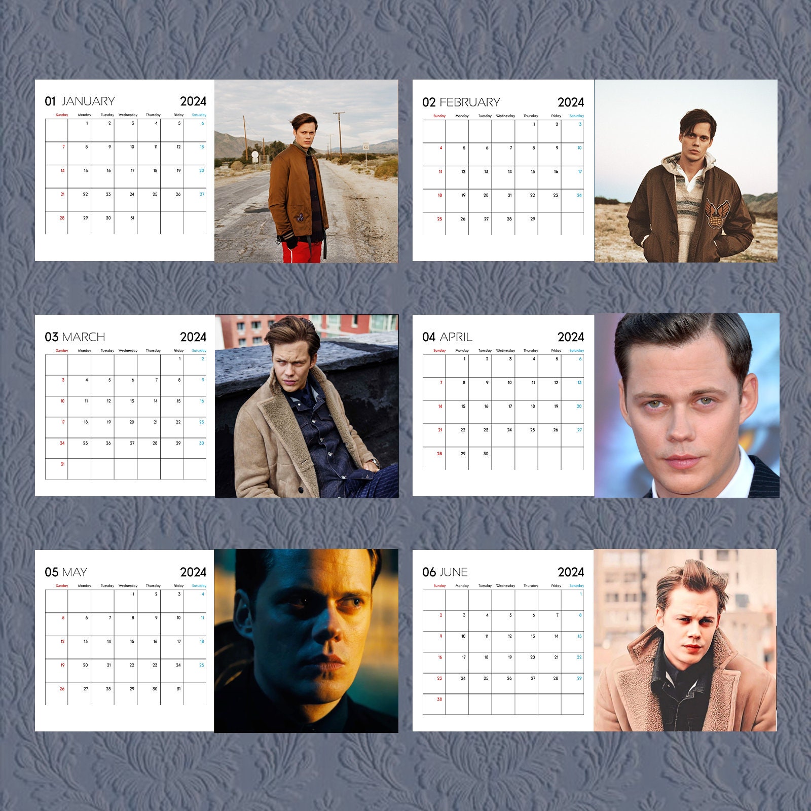 Bill Skarsgard Calendar 2024, Celebrity Calendar, Bill Skarsgard 2024 Wall Calendar sold by Redo