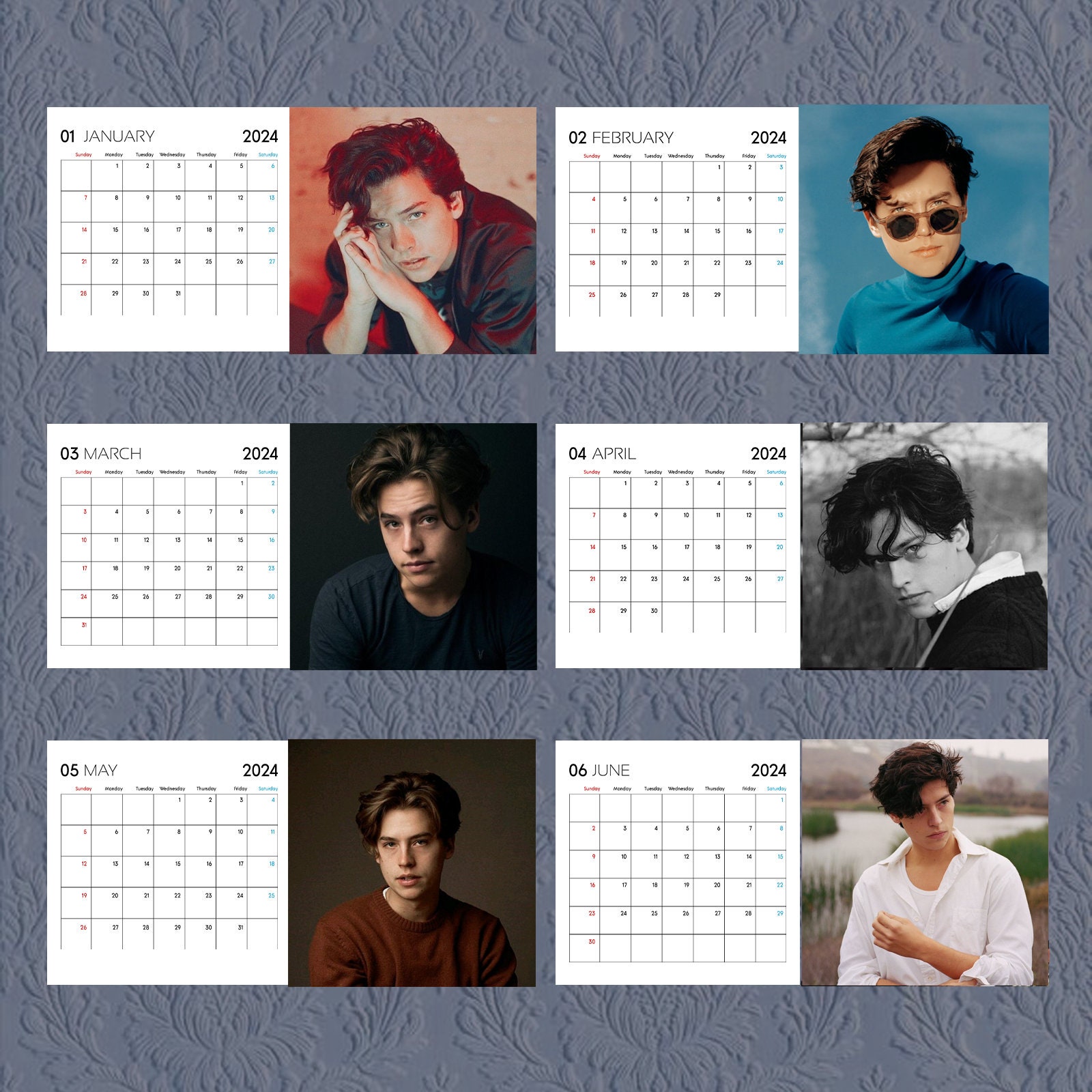 Cole Sprouse Calendar 2024, Celebrity Calendar, Cole Sprouse 2024 Wall
