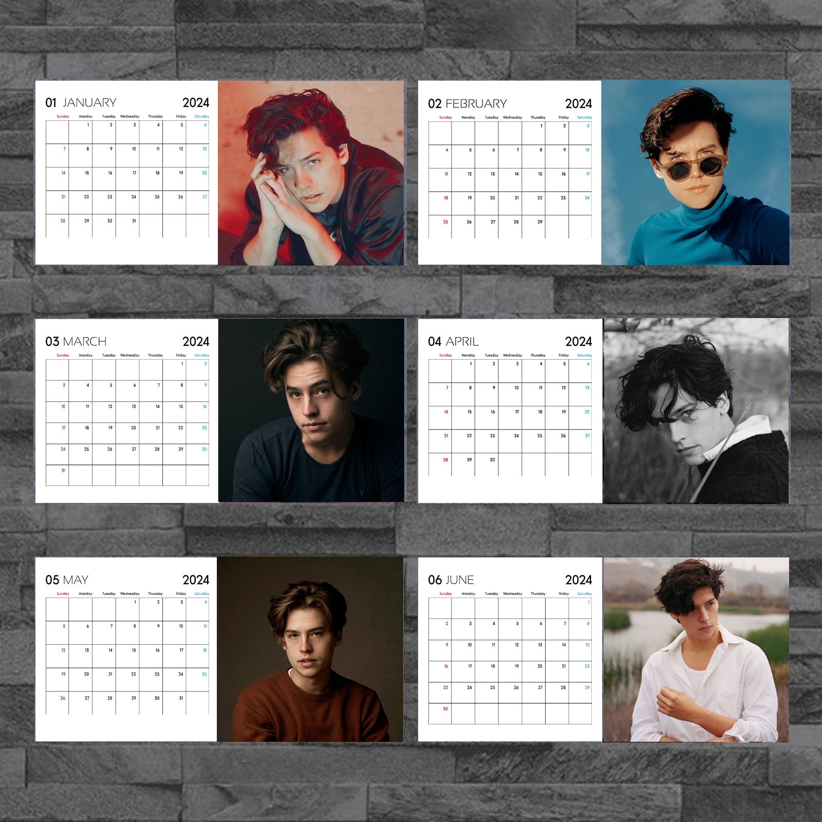 Cole Sprouse 2024 Calendar, Celebrity Calendar, Cole Sprouse 2024ift