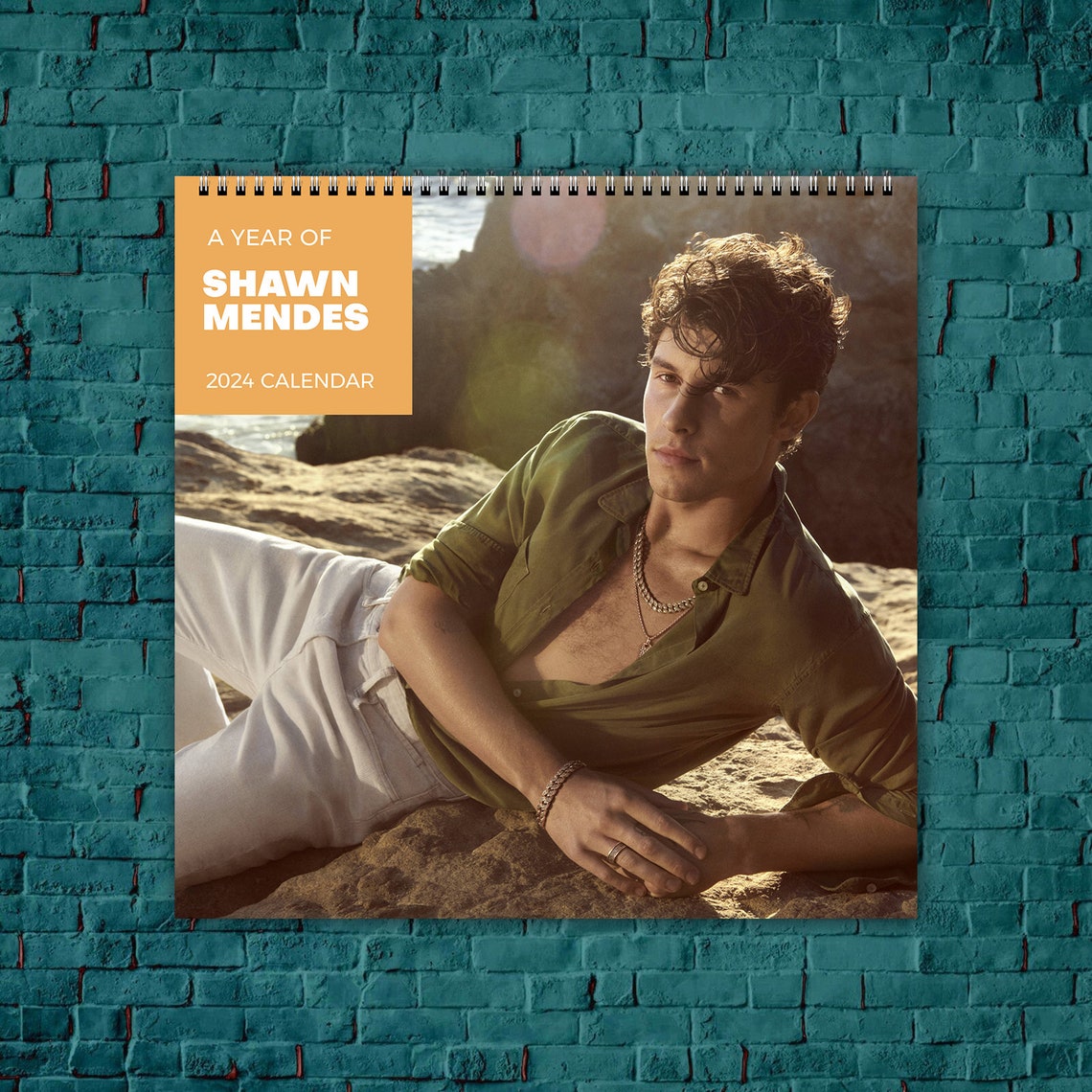 Shawn Mendes Calendar 2024, Celebrity Calendar, Shawn Mendes 2024 Wall Calendar, Wall Calendar