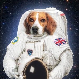 Custom Astronaut Pet Portrait: Space Suit Painting (Digital or Canvas)