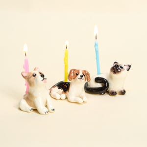Topper per torta per animali domestici personalizzato, portacandele in ceramica per cani, regalo per torta di compleanno, statuetta fatta a mano, Camp Hollow, cimelio da collezione, arte Y2k
