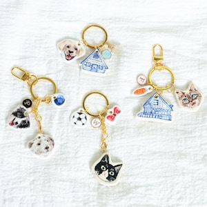 Può includere: Una collezione di portachiavi dorati con vari ciondoli. I ciondoli includono facce di cani e gatti, un pallone da calcio, una casa e un fiocco rosso. Ogni portachiavi ha un anello e un fermaglio dorati, e alcuni hanno piccoli ciondoli aggiuntivi.
